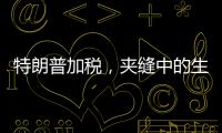 特朗普加税，夹缝中的生意人怎么办
？