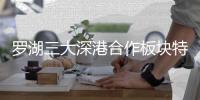 罗湖三大深港合作板块特色