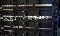 快排公司十年历程，霸屏兔 seo 的崛起与坚守