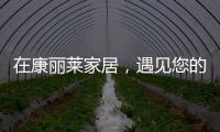 在康丽莱家居，遇见您的专属床垫