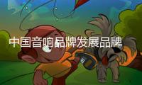 中国音响品牌发展品牌 展现魅力