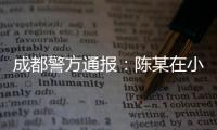 成都警方通报：陈某在小区持刀刺伤赵某
	，已被刑拘