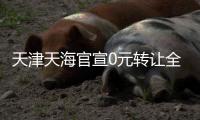 天津天海官宣0元转让全部股权 3月14日截止