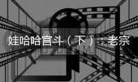 娃哈哈宫斗（下）：老宗心里是娃哈哈的百年大计	，小宗心里只爱自己
！