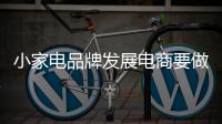 小家电品牌发展电商要做好各方面的部署