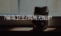 ?候鸟卫士/风雨无阻护“过冬客”