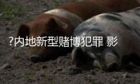 ?内地新型赌博犯罪 影响国家经济安全