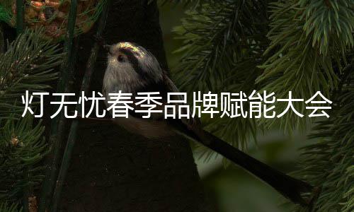 共襄灯饰行业发展盛宴
