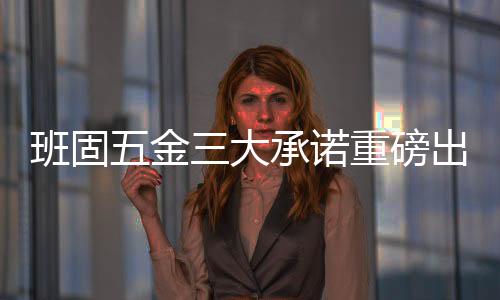 班固提供360度贴心服务