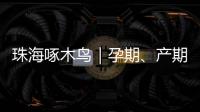 珠海啄木鸟｜孕期、产期
	、哺乳期不可辞退  勇敢向“三期”侵权说“不”
！