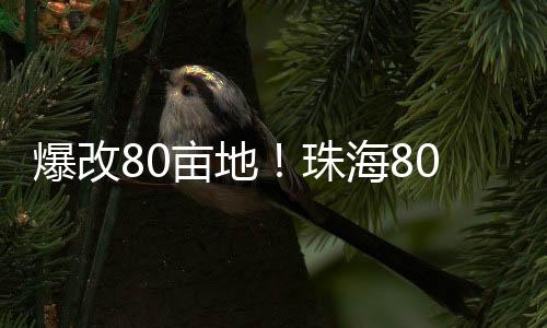 需要的亩地不只是情怀