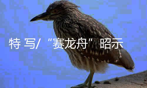 我们在全球化中发展了自己