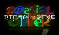 电工电气企业：端正发展态度 从长远角度出发