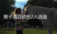 男子酒后砍伤2人逃逸 警方
：已抓获归案并刑拘