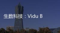 快排公司十年历程，霸屏兔 seo 的崛起与坚守