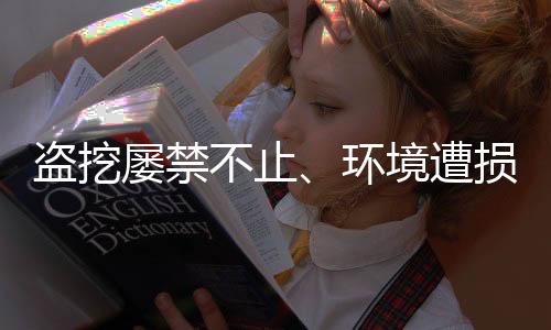 盗挖涉案金额达36万元