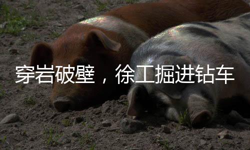 徐工运”全工序覆盖