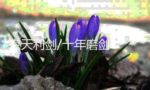 天马七机编队飞行影像