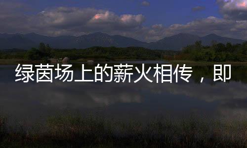 绿茵本场比赛无指定坐席