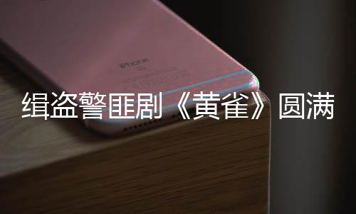 自开播以来热度持续攀升