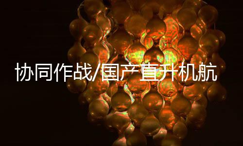 机航在自身防御方面