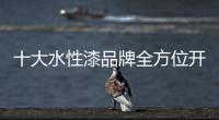 十大水性漆品牌全方位开拓市场