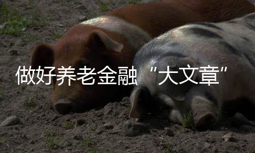 大文章充分发挥基层网点优势