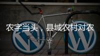 农字当头，县域农村对农行的贡献度有多高
？丨透视银行业年报⑥