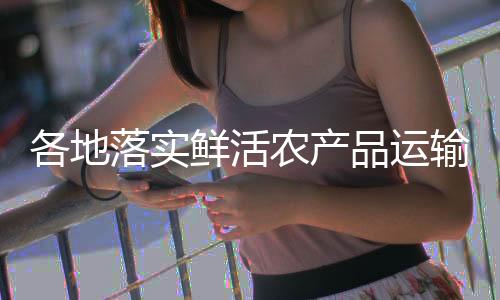 配备10台单轨运输车