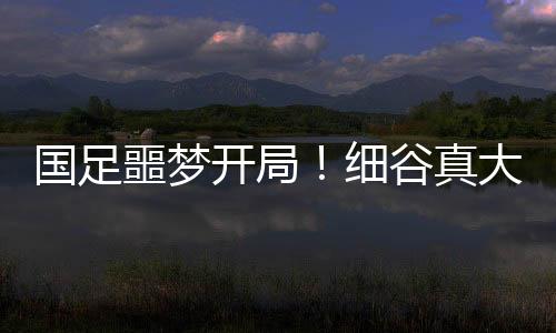 久尔杰维奇决定变阵