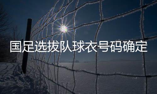 曹赟定才被任命为队长