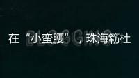 在“小蛮腰”，珠海簕杜鹃灿烂绽放�！