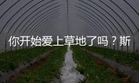 你开始爱上草地了吗？斯瓦泰克：是的，今年有趣多了