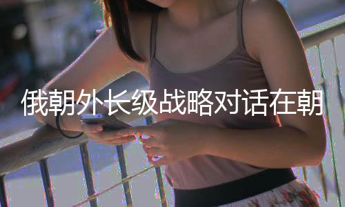 俄朝双方还将恢复海上航线