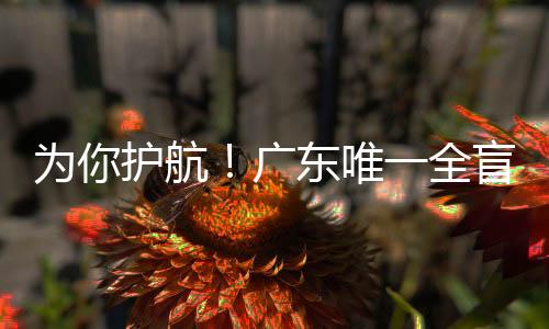 考场外的全盲整座城