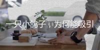 一只小鸽子�，为何能吸引14家知名媒体集中探访�？