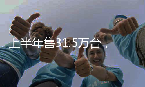 上半销量下滑了30.94%
