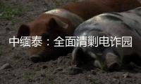 中缅泰：全面清剿电诈园区�，全量抓捕涉诈人员