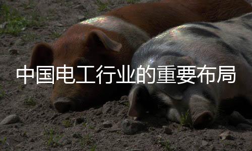 但是中国随着中西部崛起