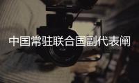 中国常驻联合国副代表阐述中国在马尔维纳斯群岛问题上的立场