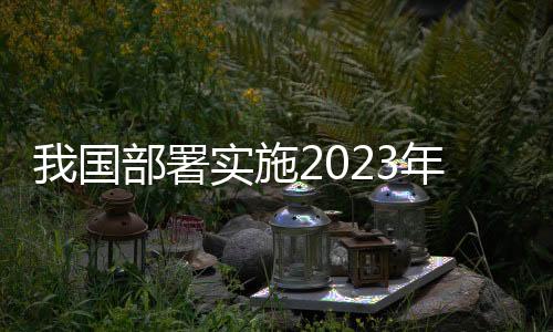 自主均未发生违规行为
