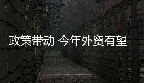 今年政策效应功不可没