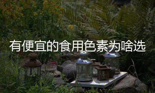 费解明明有食品色素
