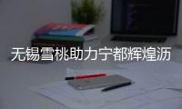 无锡雪桃助力宁都辉煌沥青有限公司更加辉煌