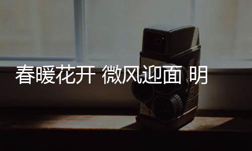 取得了一系列骄人业绩