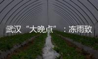 武汉“大晚点”�	：冻雨致冰的高铁难题