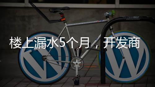 上诉至珠海市中级人民法院