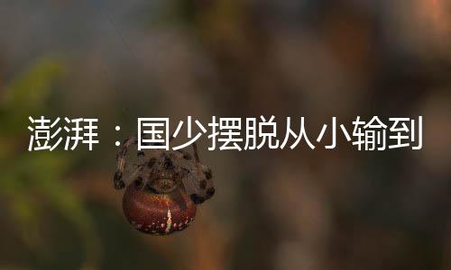 据澎湃新闻记者了解