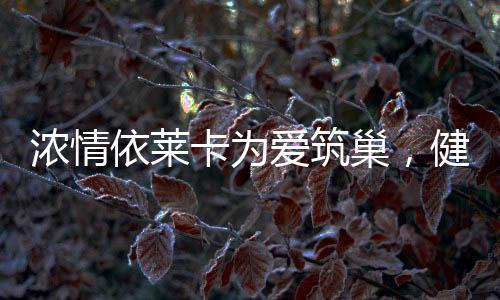 都有大堆的浓情衣服
