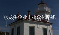 水龙头企业走小众化路线 迎合全新的消费市场
